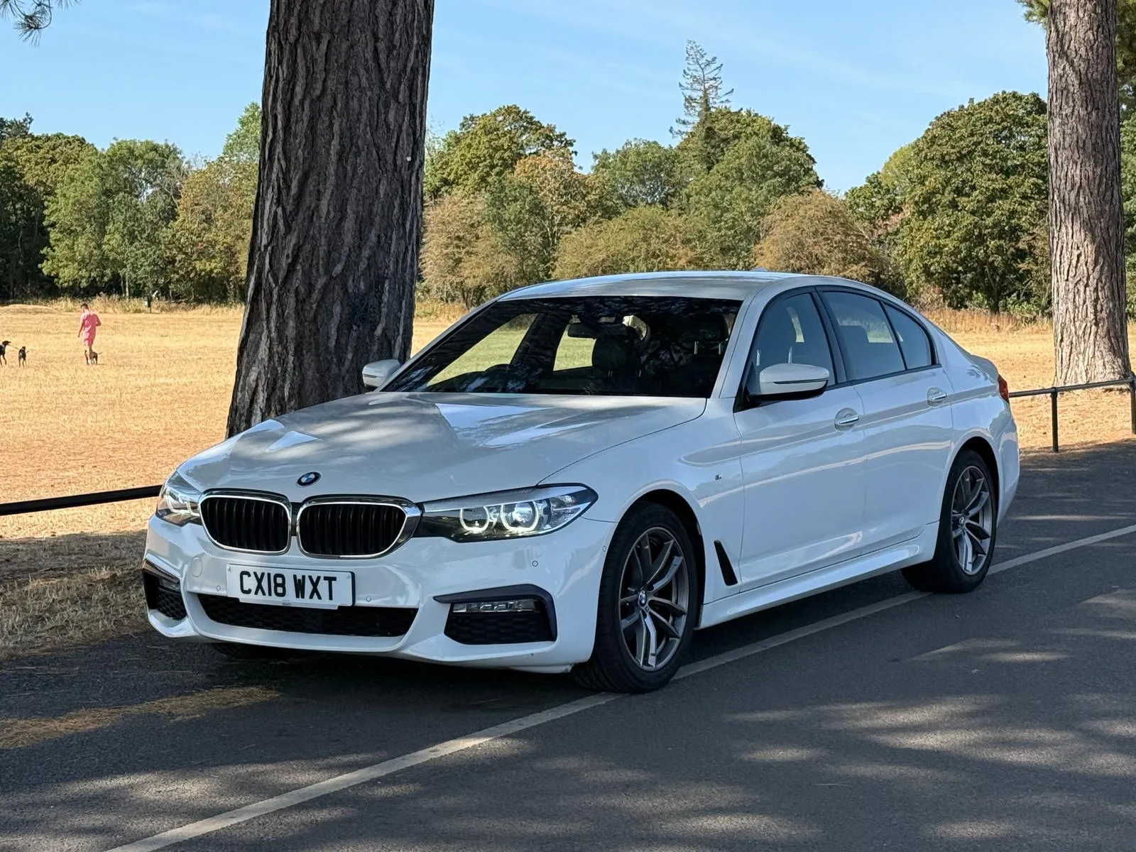 vehicle-media-3